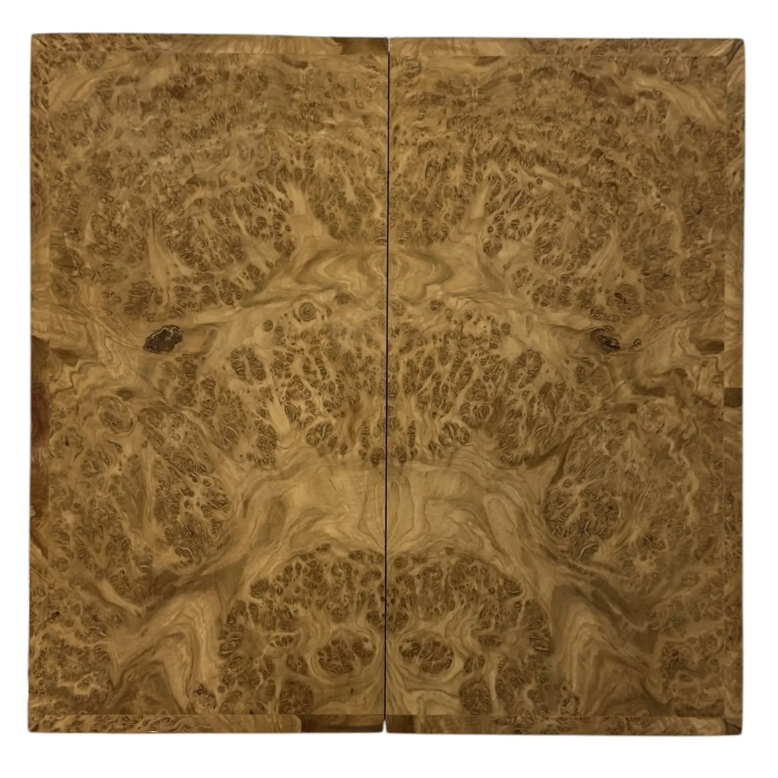 Photoroom_007_20250208_132804