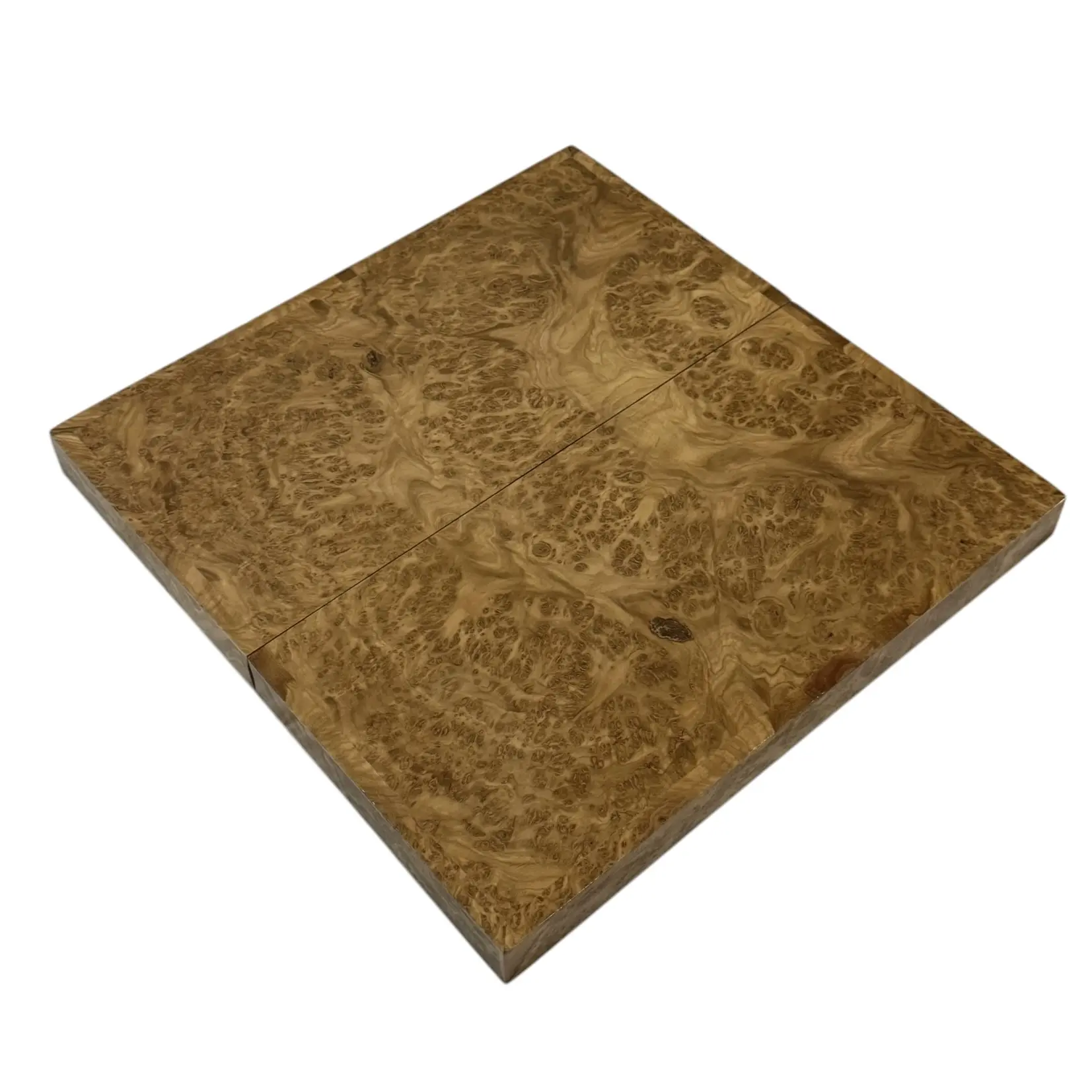 Photoroom_009_20250208_132804