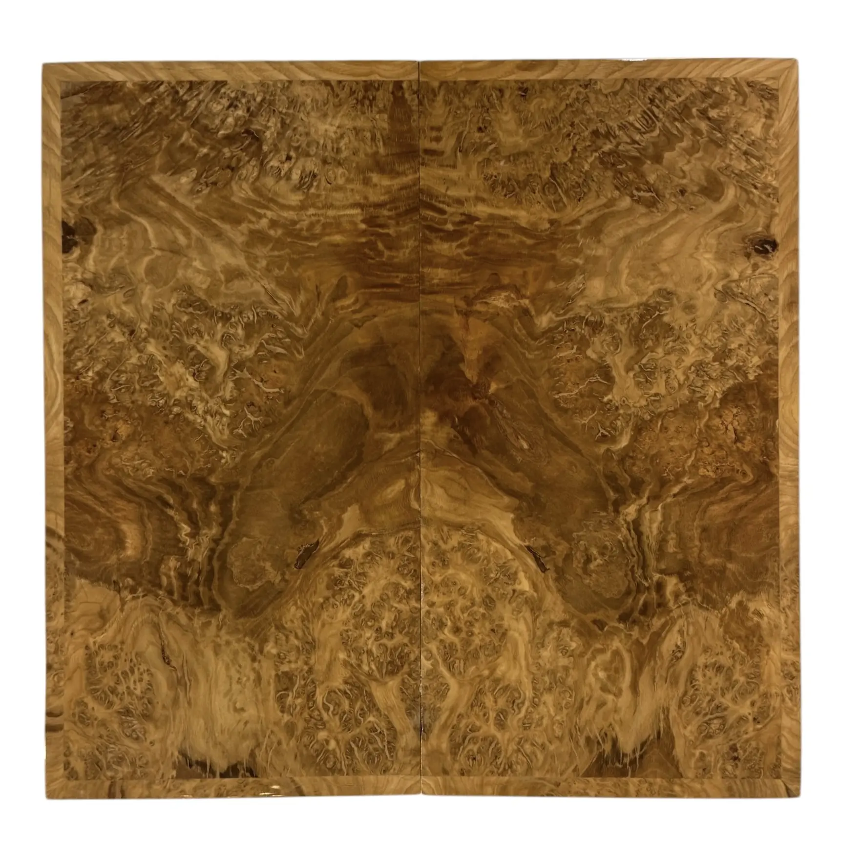 Photoroom_014_20250208_132804