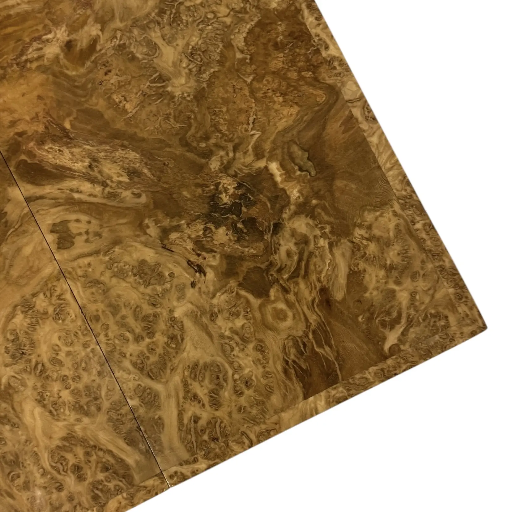 Photoroom_016_20250208_151853