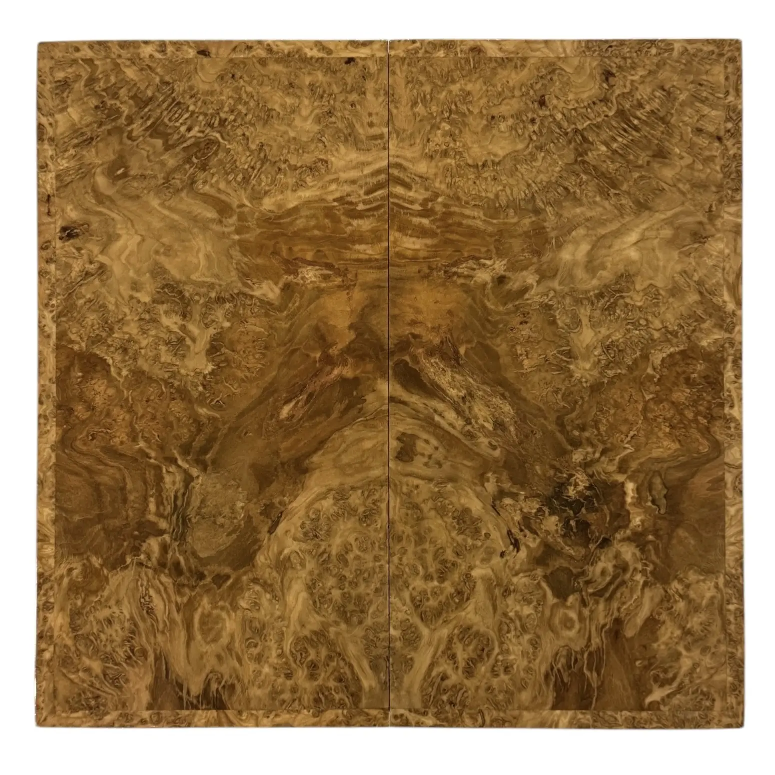 Photoroom_018_20250208_151853