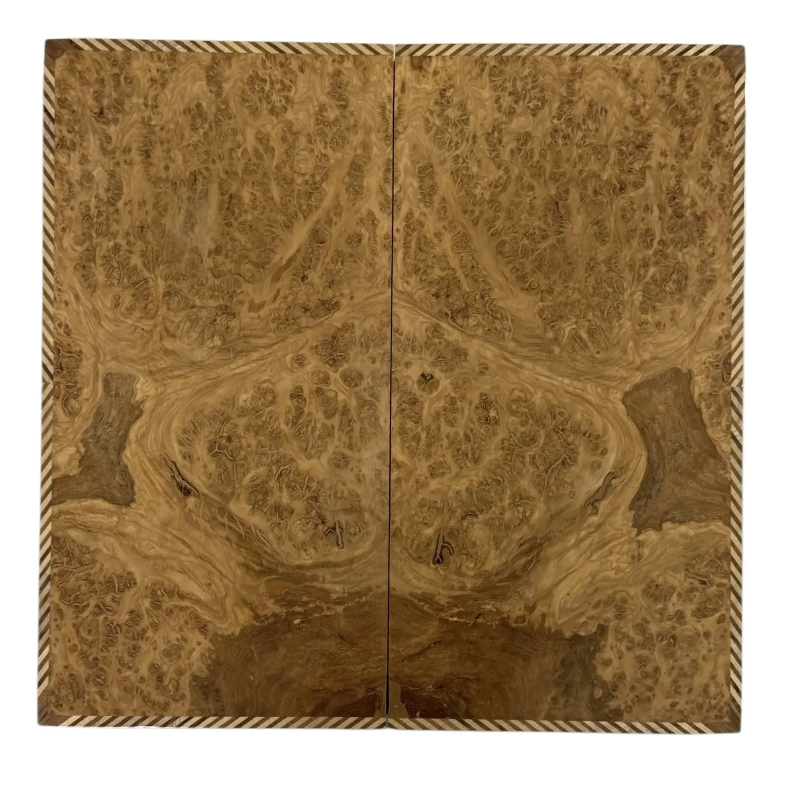 Photoroom_031_20250208_132804