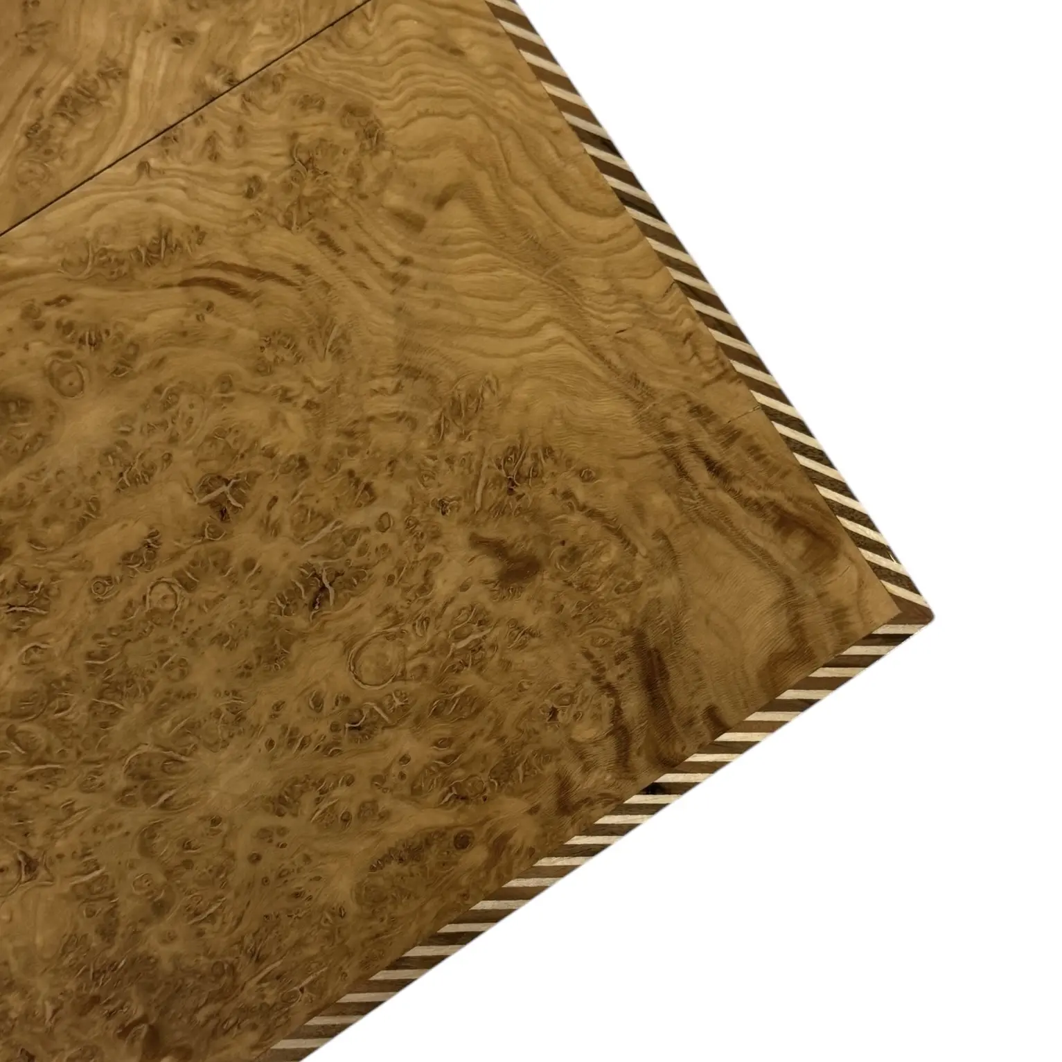 Photoroom_048_20250208_151151 2