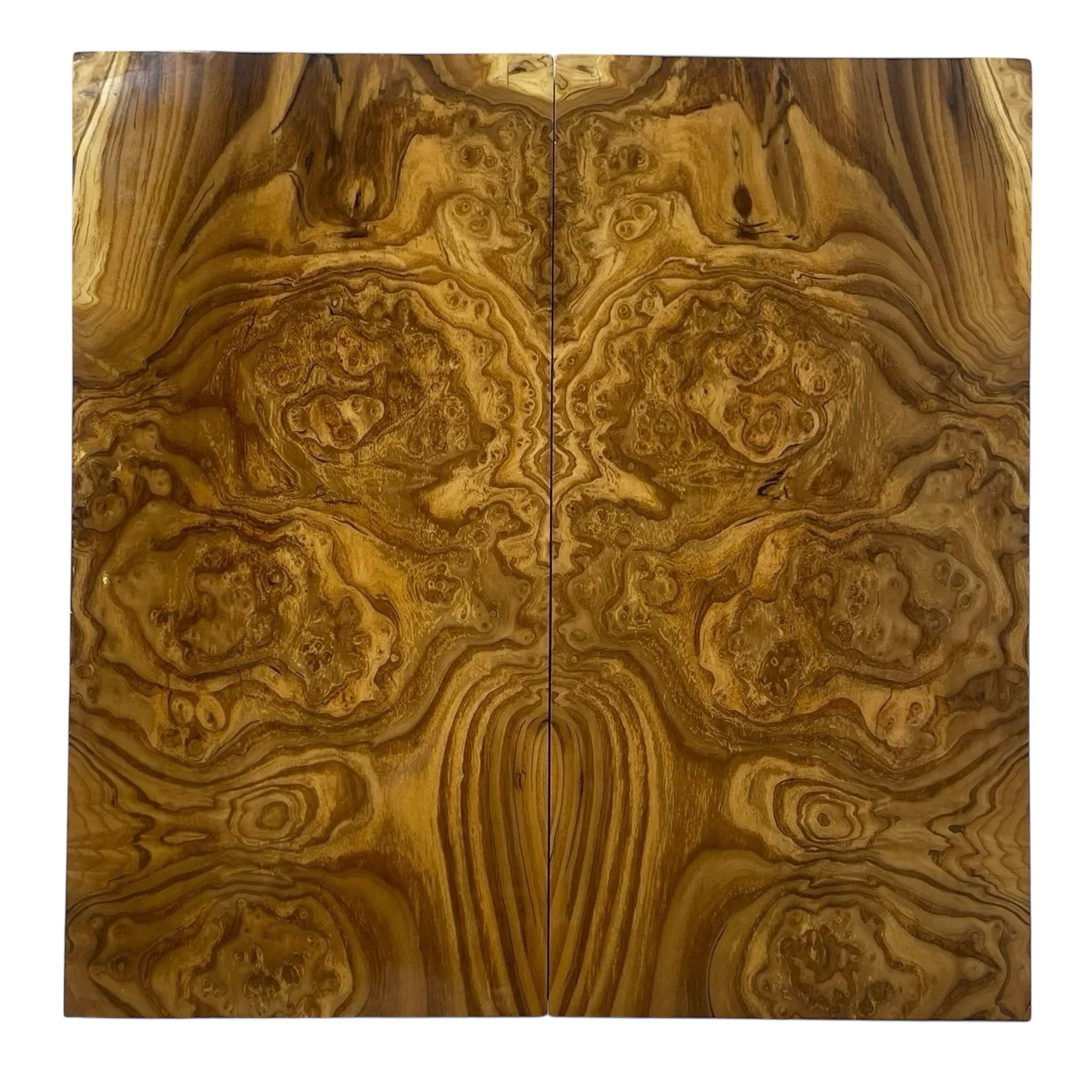 fuhoy9gtkfcorgmzwroq